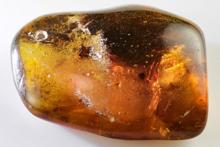Polished Chiapas Amber ( g) - Mexico #193256